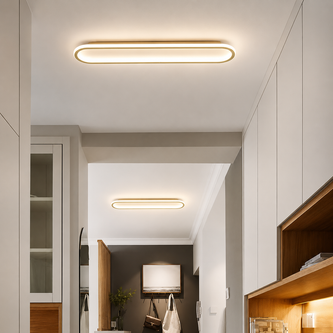 Ceiling Lights