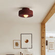 Nordic Minimalist Ceiling Mounted Personalized Lighting Fixtures