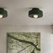 Nordic Minimalist Ceiling Mounted Personalized Lighting Fixtures