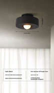 Nordic Minimalist Ceiling Mounted Personalized Lighting Fixtures