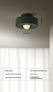 Nordic Minimalist Ceiling Mounted Personalized Lighting Fixtures
