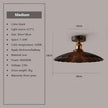 DAMIASMIL Retro Ceiling Lamp for Living Room Dining Room Bedroom Corridor Entrance Ceiling Lights E27 Indoor Lighting Fixtures