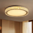 Nordic home decoration salon bedroom decor led lamp Ceiling lights for room lamps for living room indoor lighting lamparas