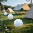 Holiday Mood light lawn Solar led outdoor lighting not solar lights outdoor garden decoration outdoor Garden lights