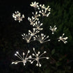 6/810 Heads Solar Light Waterproof Sparkling Stars LED Floral Firework 2 Modes Switching Ground Mounted Landscape Lighting
