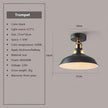 DAMIASMIL Retro Ceiling Lamp for Living Room Dining Room Bedroom Corridor Entrance Ceiling Lights E27 Indoor Lighting Fixtures