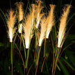 LED Solar Garden Reed Lamp Outdoor Waterproof Lawn Light Yard Christmas Decoration Path Lighting Decor Solar Power Light