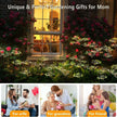 6/810 Heads Solar Light Waterproof Sparkling Stars LED Floral Firework 2 Modes Switching Ground Mounted Landscape Lighting