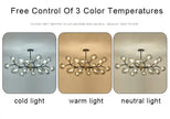 LED Glass Ball Chandelier Pendant Light for Indoor Decorative Lighting - Living Room Bedroom Dining Room