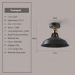 DAMIASMIL Retro Ceiling Lamp for Living Room Dining Room Bedroom Corridor Entrance Ceiling Lights E27 Indoor Lighting Fixtures