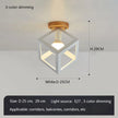 Modern Ceiling Light Hallway Light  Corridor Bedroom Kitchen Villa Restaurant Gallery Living Room Indoor Nordic Ceiling lamp
