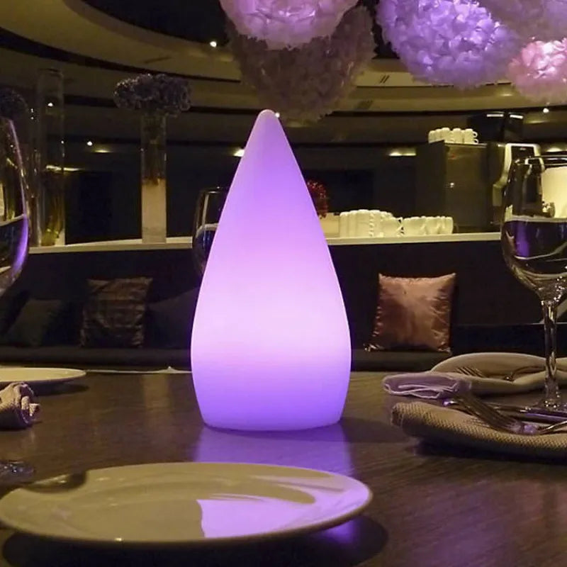 Outdoor Indoor Waterproof Light Up Portable LED Decorative Table Garden Lamps Events Camping Mood Lights with Remote PlasticLamp