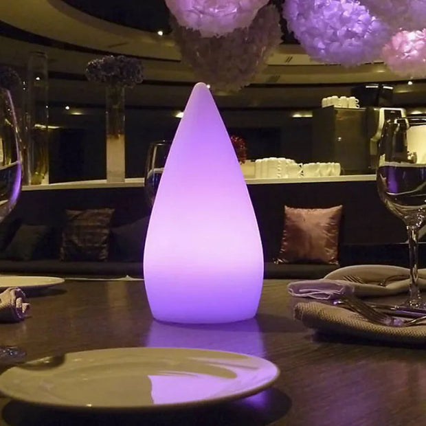 Outdoor Indoor Waterproof Light Up Portable LED Decorative Table Garden Lamps Events Camping Mood Lights with Remote PlasticLamp
