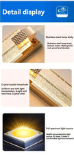 Modern Light Outdoor LED Wall Light Transparent Crystal with Bubble Style for Villa Porch Patio and Garden Lighting Lamps