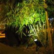 Outdoor Led Solar Spotlight Garden Lights Landscape Decoration IP65 Waterproof for Lawn Courtyard Pathway Tree Separately Lamp