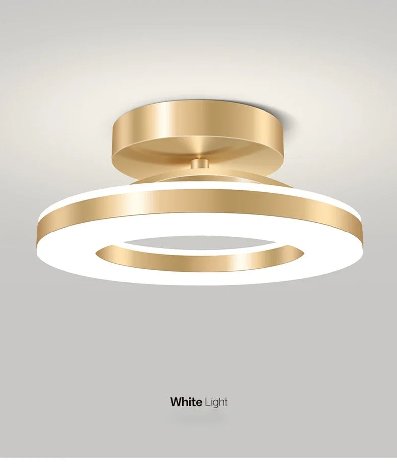 Modern LED Ceiling Lamp Indoor Lighting Home Decoretion For Bedroom Dining Table Living Room Balcony Corridor Ceiling Light