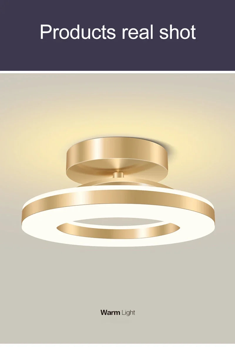 Modern LED Ceiling Lamp Indoor Lighting Home Decoretion For Bedroom Dining Table Living Room Balcony Corridor Ceiling Light