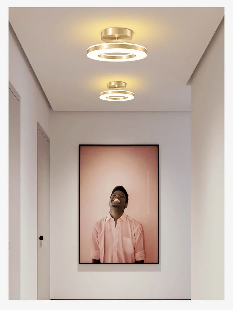 Modern LED Ceiling Lamp Indoor Lighting Home Decoretion For Bedroom Dining Table Living Room Balcony Corridor Ceiling Light
