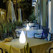 Outdoor Indoor Waterproof Light Up Portable LED Decorative Table Garden Lamps Events Camping Mood Lights with Remote PlasticLamp