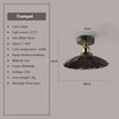 DAMIASMIL Retro Ceiling Lamp for Living Room Dining Room Bedroom Corridor Entrance Ceiling Lights E27 Indoor Lighting Fixtures