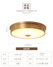 Nordic Modern Copper LED Ceiling Lights Fixtures Kitchen Hallway Balcony Round Ceiling Lamps Minimalist Lampara Gold Lighting