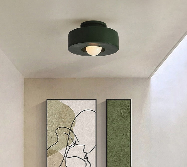 Nordic Minimalist Ceiling Mounted Personalized Lighting Fixtures