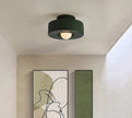 Nordic Minimalist Ceiling Mounted Personalized Lighting Fixtures
